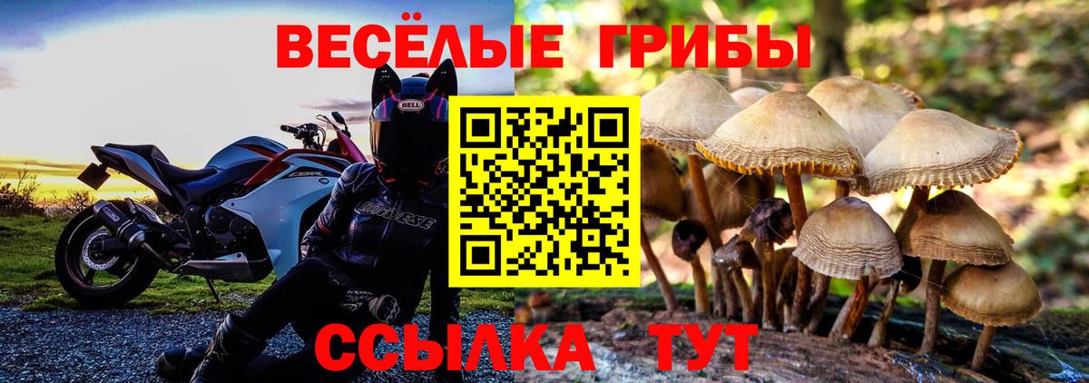 Псилоцибиновые грибы ЛСД Саяногорск
